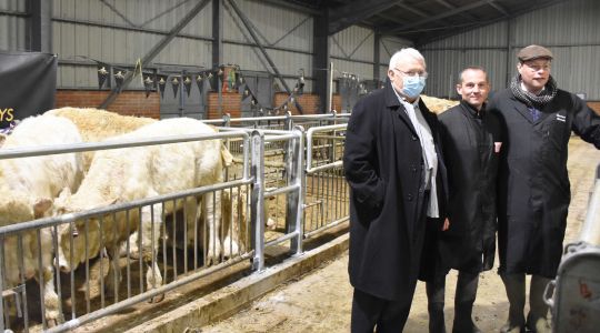 Marché aux Bestiaux : Quel succès !