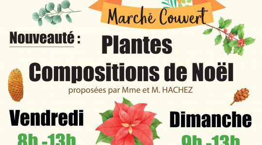 Nouveauté : Plantes de Noël