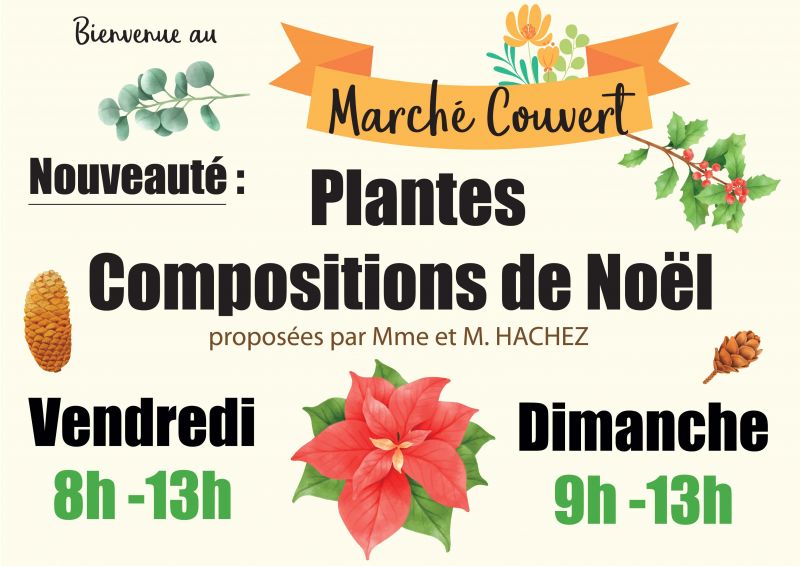 Nouveauté : Plantes de Noël